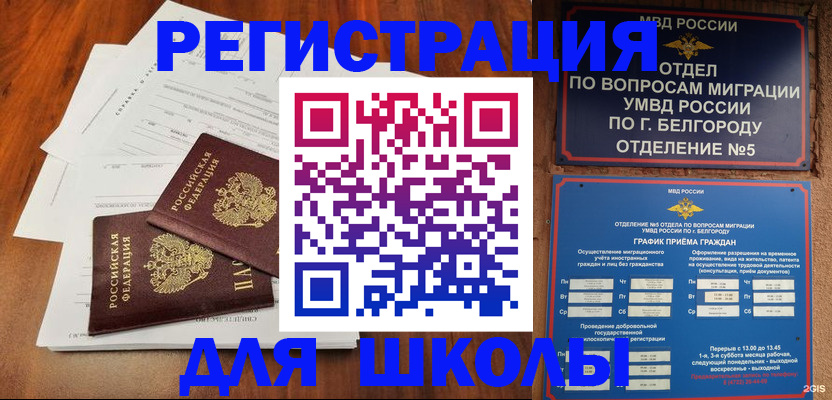 прописка поиск в Зее